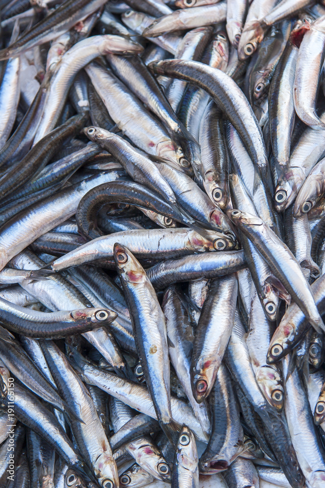 Fischmarkt Fischmarkt
