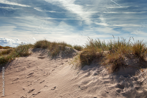 Fototapeta Naklejka Na Ścianę i Meble -  Sandy dunes at Baltic sea.