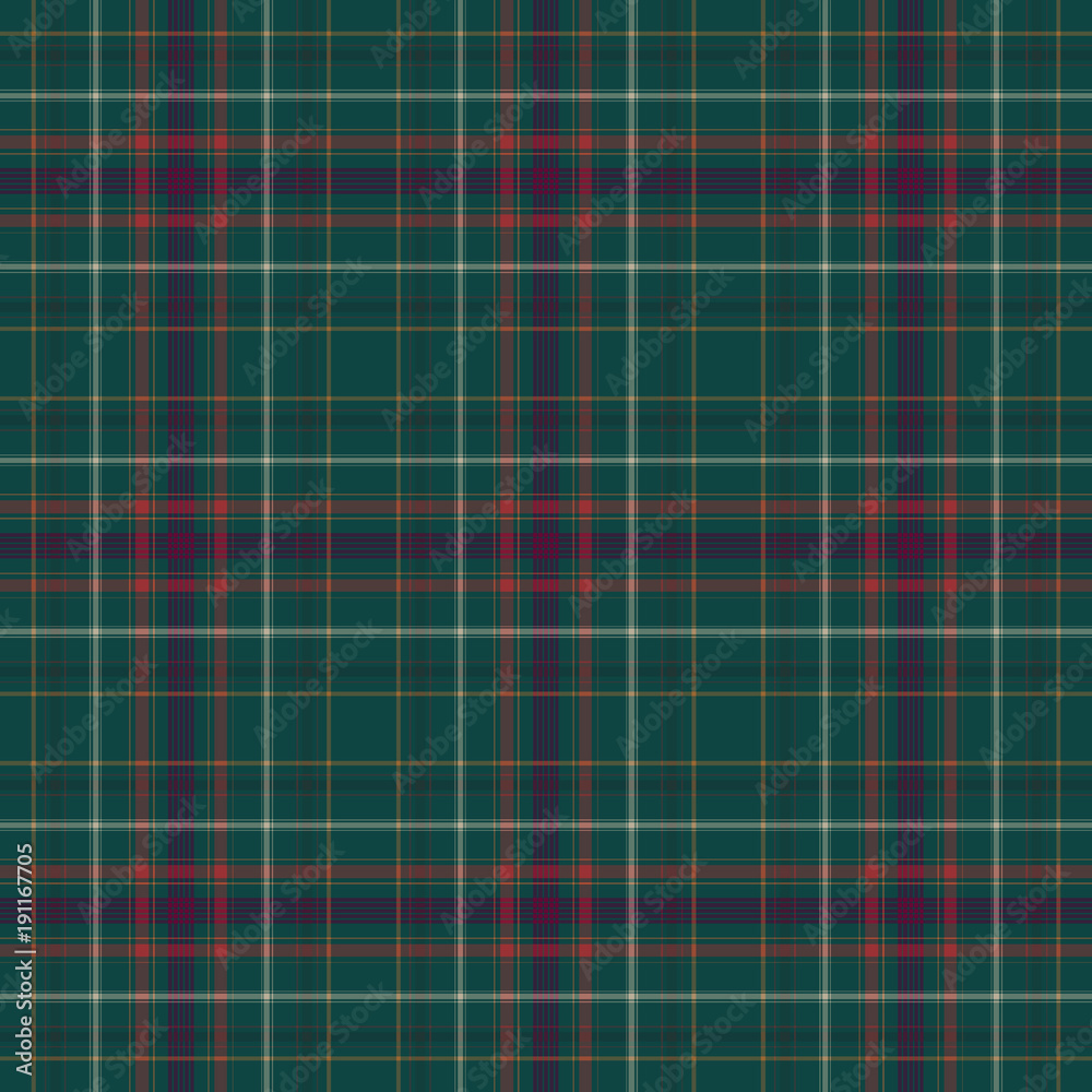 Fototapeta premium Tartan!!!!