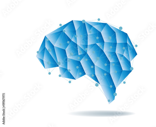 Human brain anatomy structure vector illustration. photo