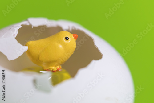 Photos Little toy yellow chick  in the eggshell on a green background