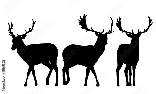 Set of vector silhouettes of three deer