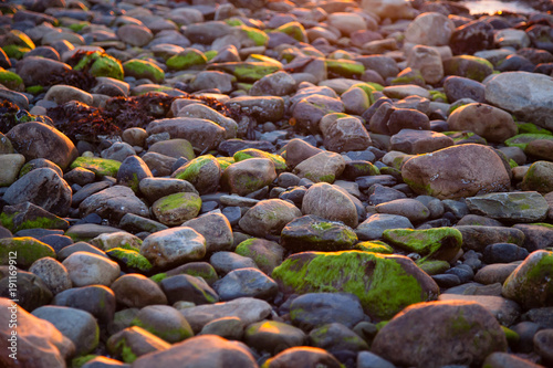 Moss covered pebbles on the shore at sunset in Norway