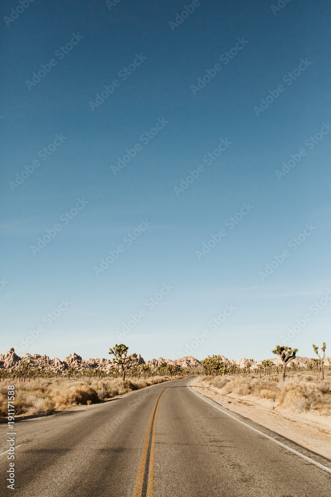 Joshua Tree lanscape