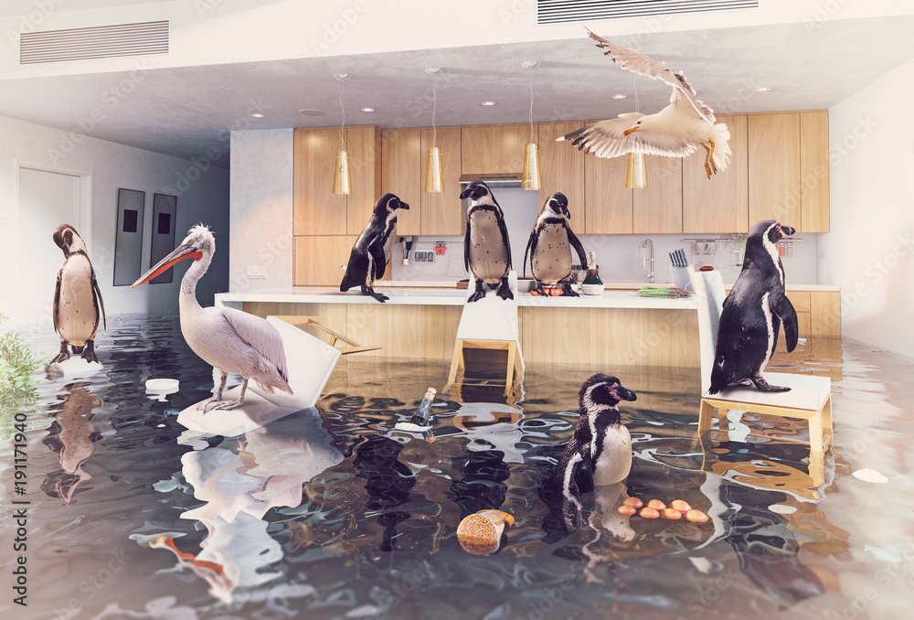 Fototapeta premium ptaki w zalanej kuchni