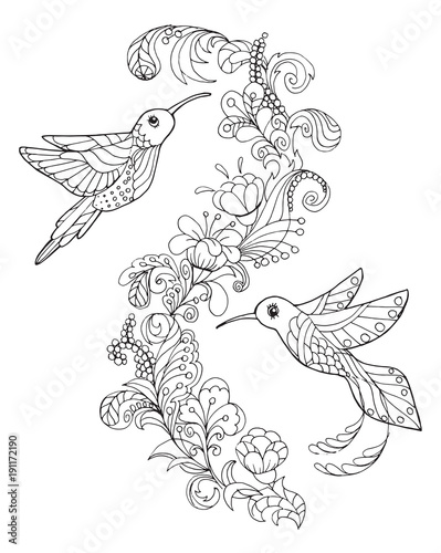 hummingbird coloring book