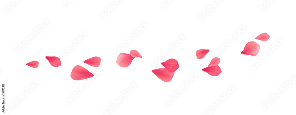 Red flying petals isolated on White background. Sakura Roses petals. Vector