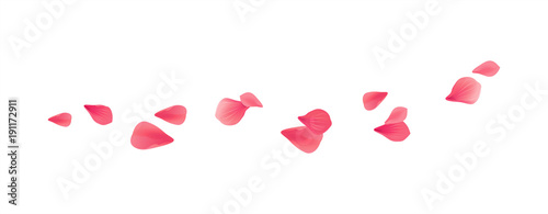 Red flying petals isolated on White background. Sakura Roses petals. Vector