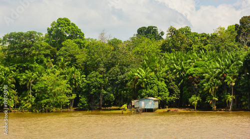 Rio Amazonas by boat photo