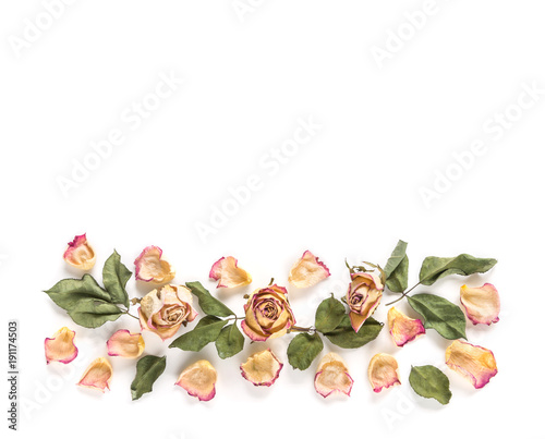 Dried pink white rose flower with petals and leaves over white background with copy space for text, logo or wordings decoration, flat lay (top view) for love Valentine's day or wedding nature concept