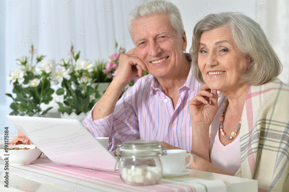 portrait of happy beautiful senior couple using laptop portrait of happy beautiful senior couple using laptop