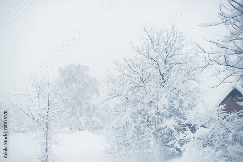 Winter snowfall in the village. Snowy collapse