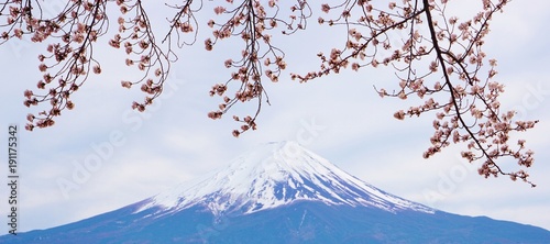 Mt Fuji Japan mountain Blossom Snow
