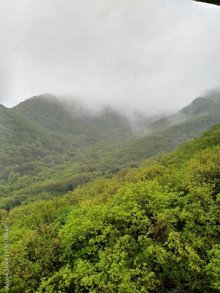 mist on the mountainsides mist on the mountainsides