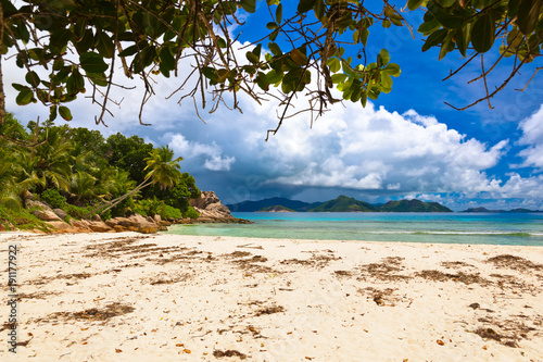 Fototapeta Naklejka Na Ścianę i Meble -  Palms on tropical beach - Seychelles
