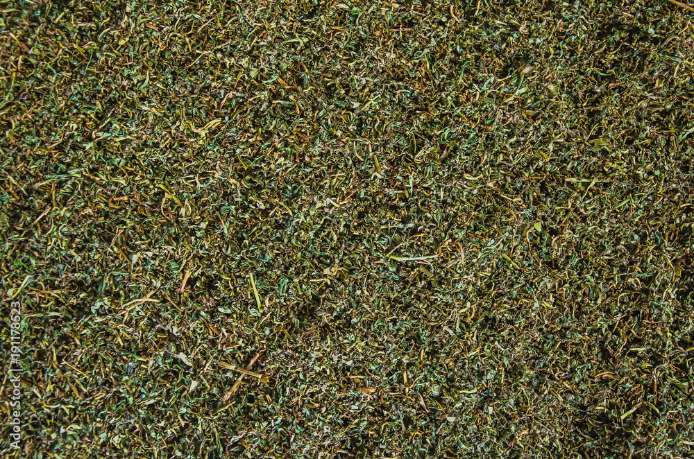Special silver tea drying on the floor of the tea factory, Sri Lanka Special silver tea drying on the floor of the tea factory, Sri Lanka