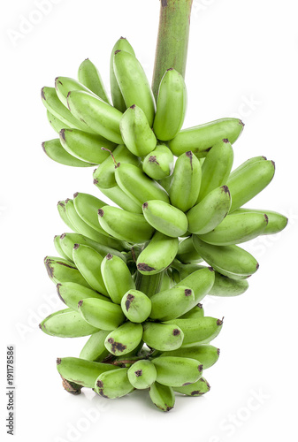 Banana plantation, banana trees, how to grow bananas, bananas, banana © sucharat