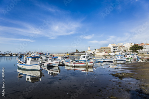 scoglitti