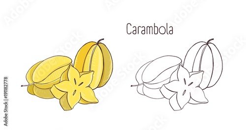 Colorful and monochrome outline drawings of carambola or starfruit