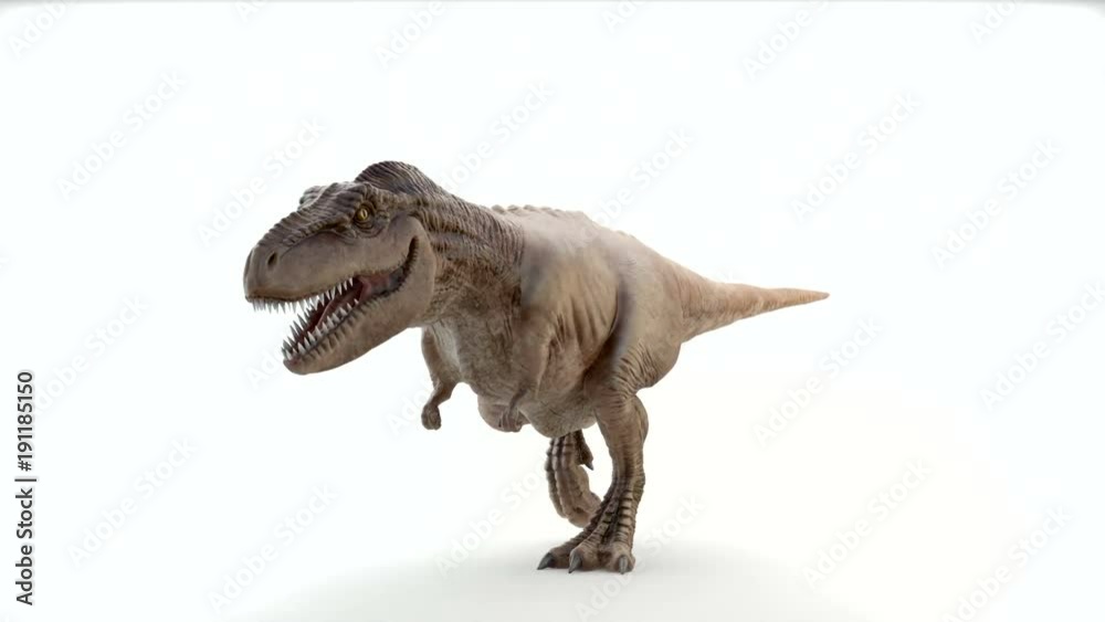 Tyrannosaurus Rex in motion of attack Tyrannosaurus Rex in motion of attack