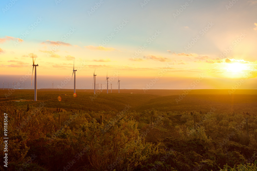 Windmills at wind farm, Coquimbo Region, Chile Windmills at wind farm, Coquimbo Region, Chile