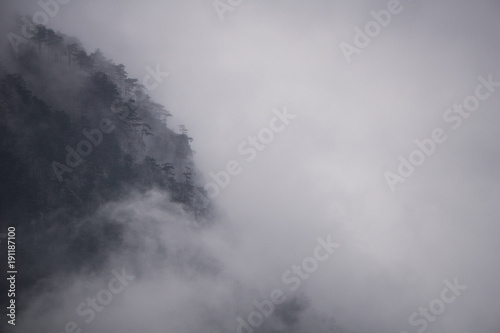 Cold, dramatic scenery with pine forest engulfed in mist and heavy fog during a chilly winter morning in the Cerna Mountains near Baile Herculane