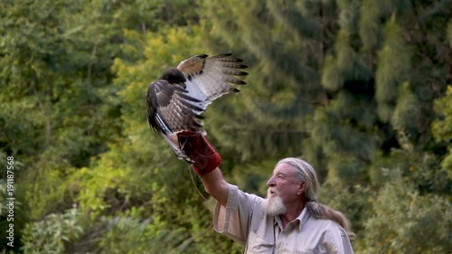 Side view of falconer training eagle to come to the glove slow motion 250 fps