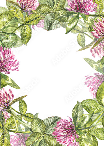 Hand-drawn watercolor red clover flower illustration. Painted botanical three-leaved meadow grass, isolated on white background. Happy St.Patrick 's Day card compositions.