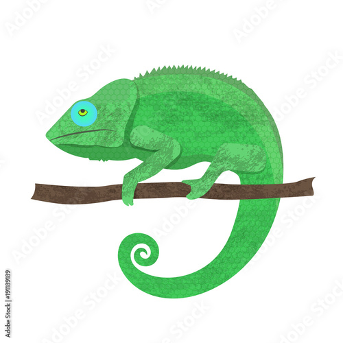 Chameleon icon. Cartoon illustration of walking chameleon vector for web