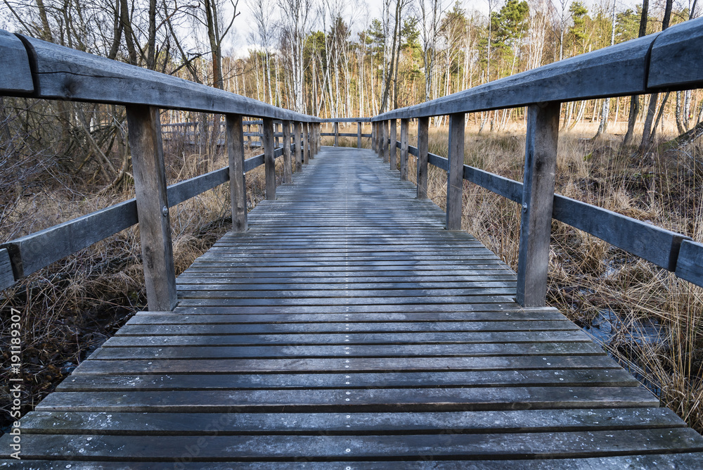 Steg im Moor, Laufsteg, Wanderweg im Moor, Wandersteg im Winter