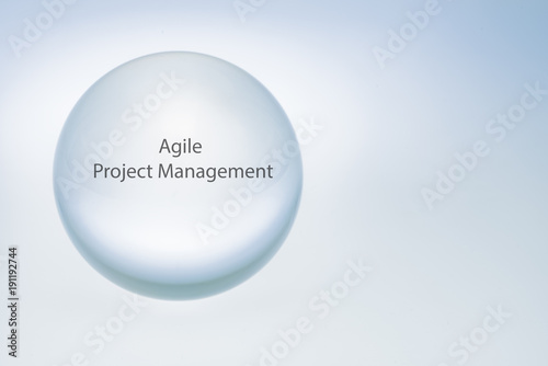 Look into a crystal ball - Agile Project Management