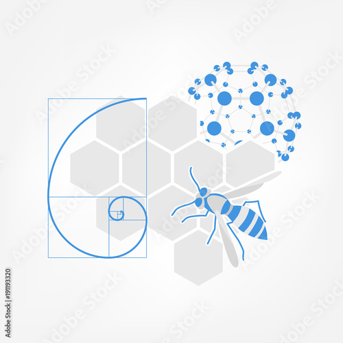 Nature inspiration icon. Vector illustration of honeycombs, bee, fibonacci spiral and fullerene molecule