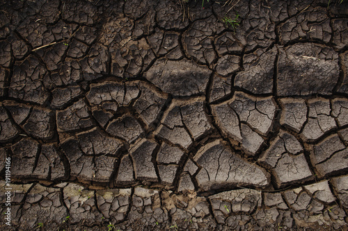 texture of cracked earth. dried mud on the ground.