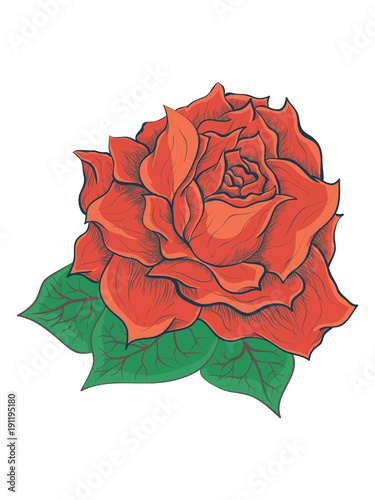 Hand drawn red ink rose - vector illustration