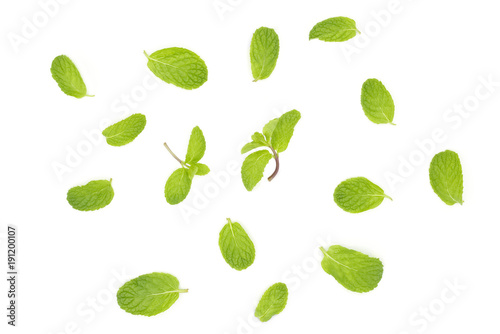 Fresh mint leaf isolated on white background.