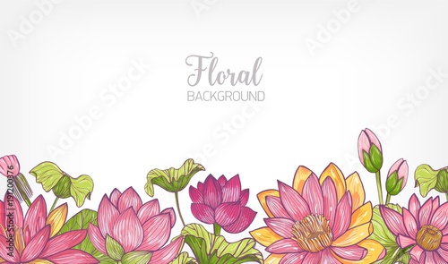 Horizontal banner or floral background decorated with bright colored blooming lotus flowers and leaves at bottom edge. Hand drawn botanical vector illustration for decorative natural backdrop.