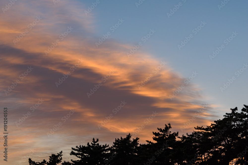 Fototapeta premium 夕方の雲