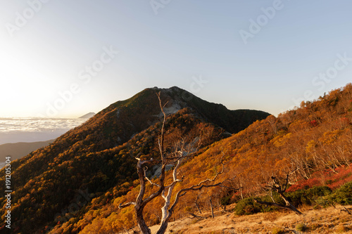 紅葉と山