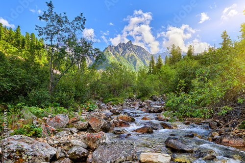 Mountain stream on sunny day