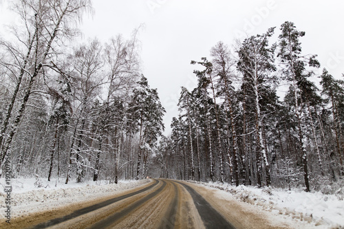 Asphalt road in the forest in winter