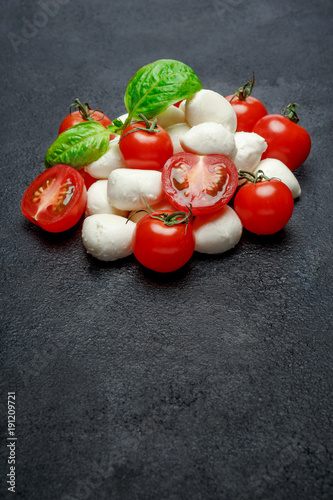 Italian mozzarella cheese and tomatos. Caprese salad ingridients