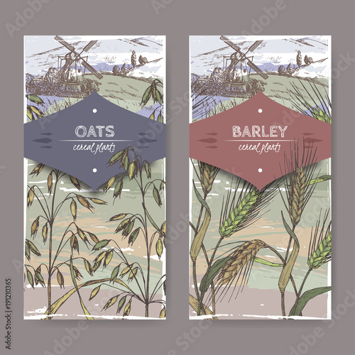 Set of two color labels with Barley aka Hordeum vulgare and oats aka Avena sativa sketch. Cereal plants collection.