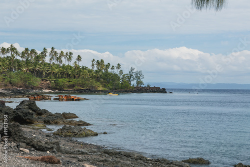 View to the bay with voulcanic stones and palms, Craig Cove, Ambrym, Vanuatu