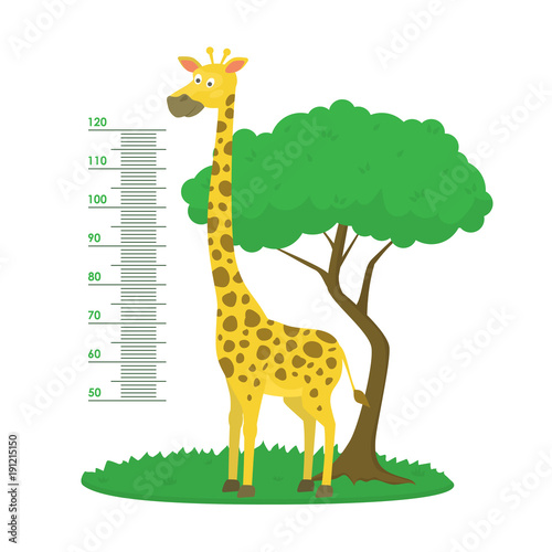 Cartoon Meter Wall with Giraffe and Tree Green Card Poster. Vector