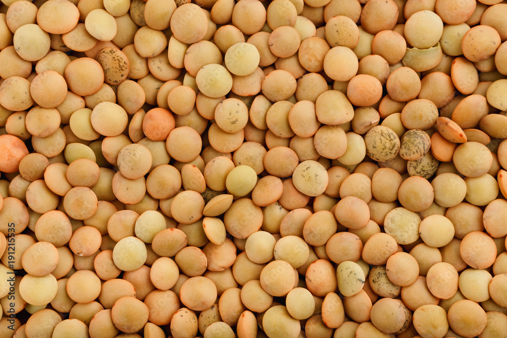 seeds of lentils close up seeds of lentils close up