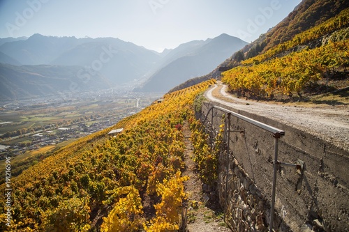 Vignes en automne de Fully et Charrat, Suisse photo