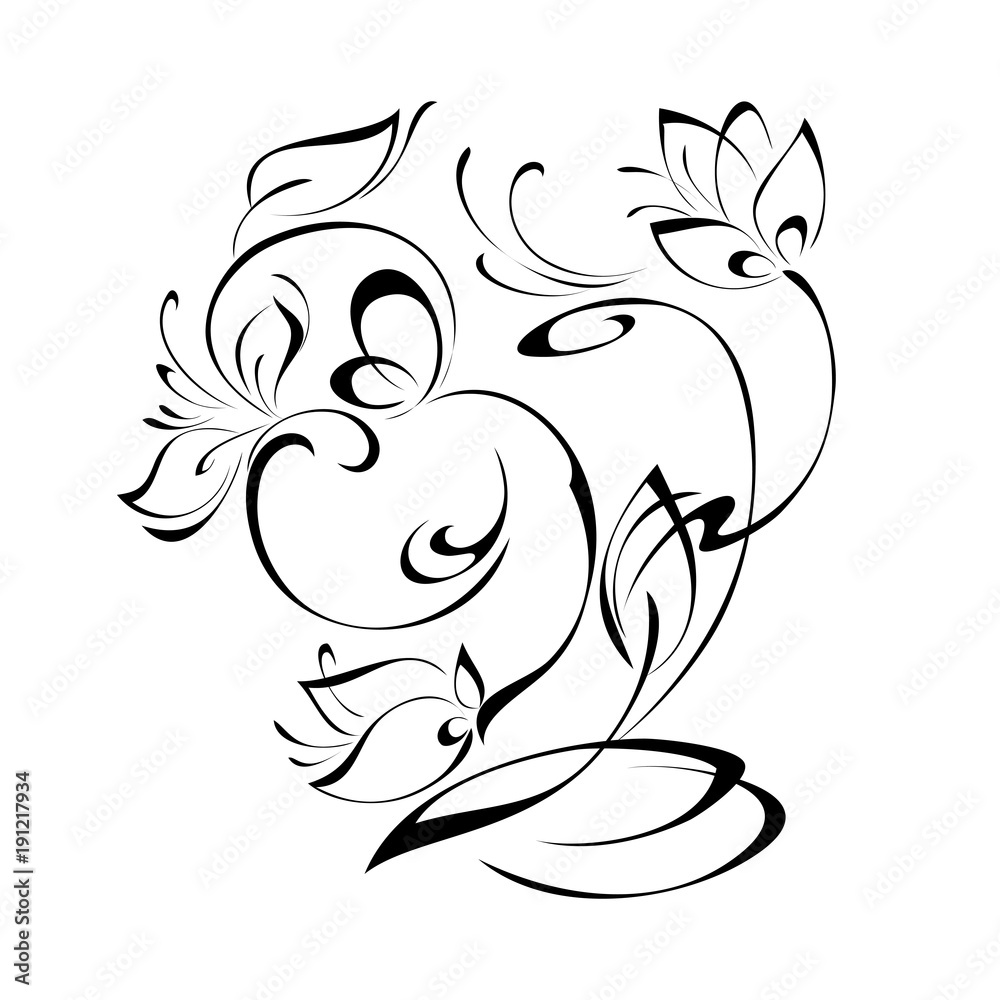 ornament 213. floral ornament with flower buds and leaves in black lines on a white background ornament 213. floral ornament with flower buds and leaves in black lines on a white background