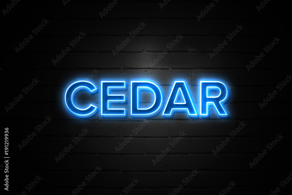 Cedar neon Sign on brickwall