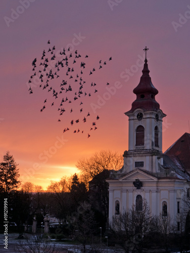 Flock of Pigeons Flaying around The Church in front of Sunrise.