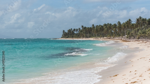 Guadeloupe, beautiful beach in Marie-Galante island, panorama 